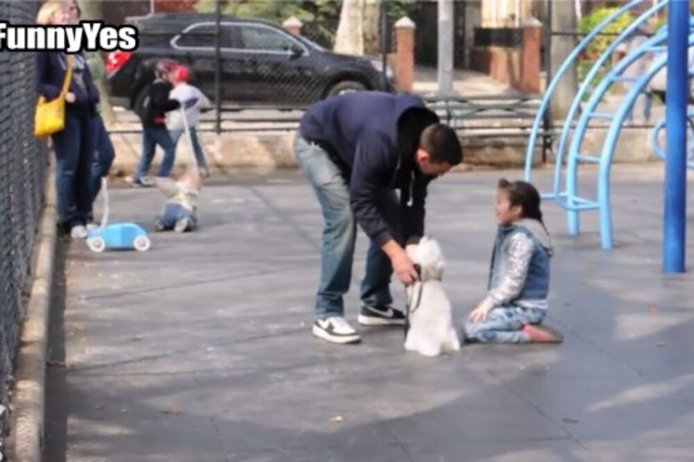 Džoi Salads, Foto: Screenshot (YouTube)