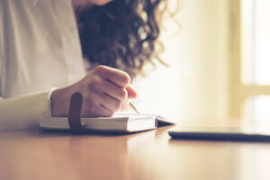 Samoproklamovane internet sveznalice