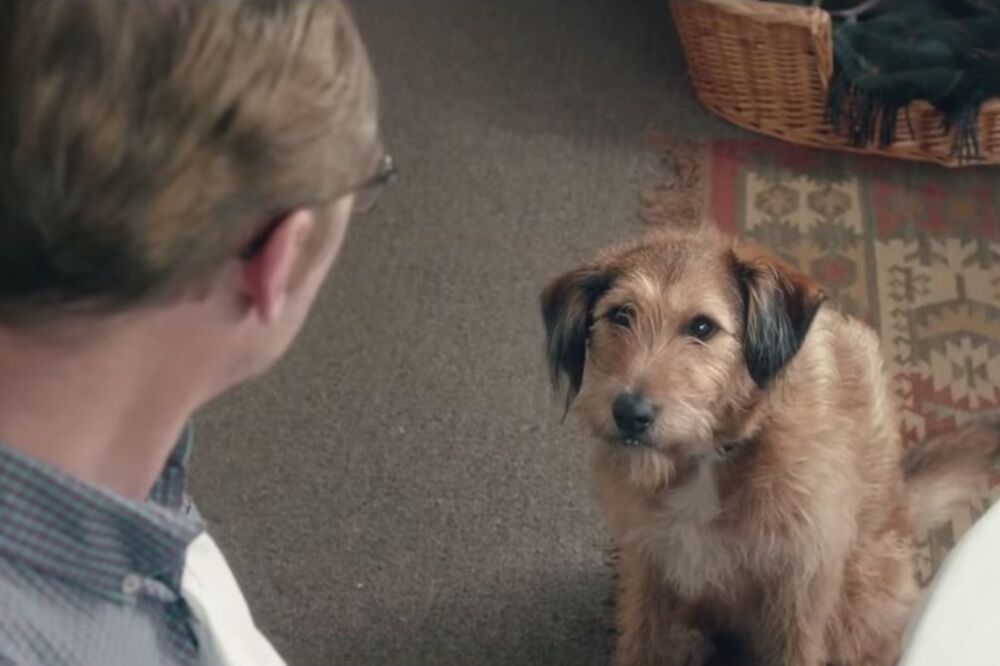 Absolutely Anything, Foto: Screenshot (YouTube)