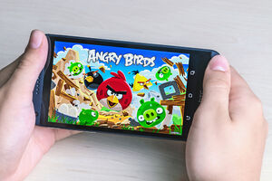 Nova verzija igrice "Angry Birds": U kampanji zaštite ptica