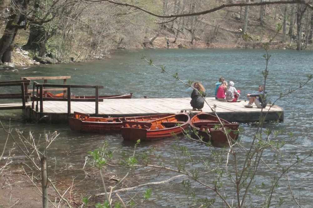 Biogradska gora, Foto: Dragana Šćepanović