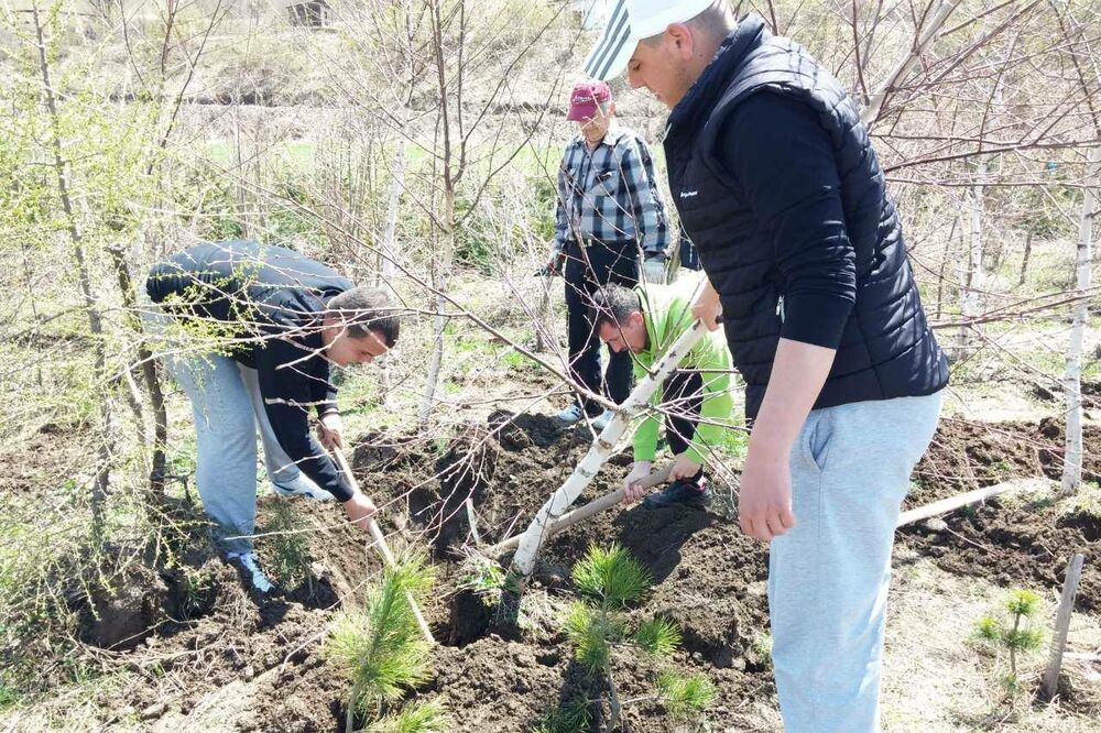 Kolašin, volonteri, Foto: Dragana Šćepanović
