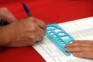 PzP: Nezakoniti glasovi iz dijaspore vladajućoj koaliciji donijeli...