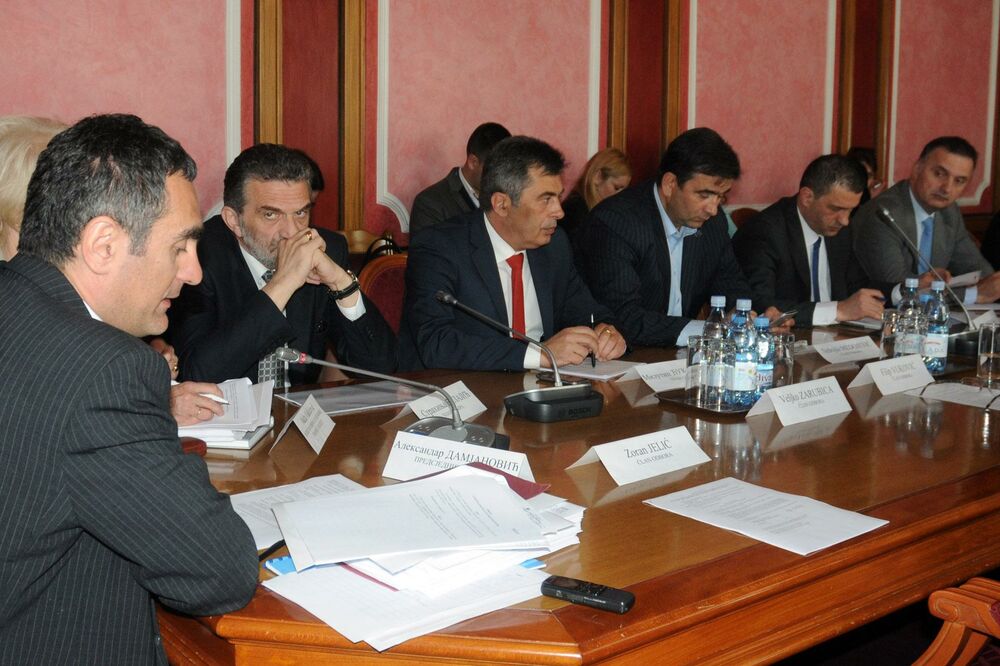 Odbor za ekonomiju, Foto: Luka Zeković