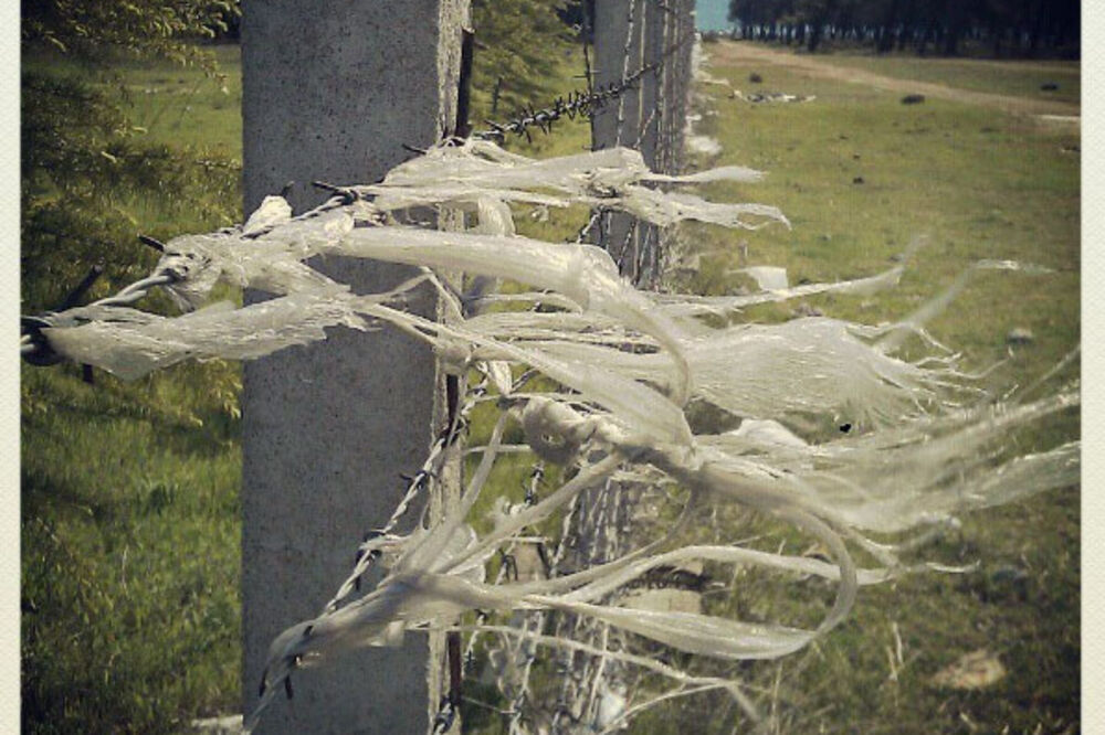 plastična kesa, smeće, otpad, Foto: Instagram/Damira Kalač