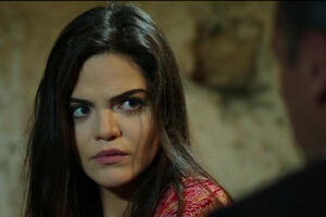 "Crna ruža": Ozlem koristi svaku priliku da Sibel i Ajši zagorča...