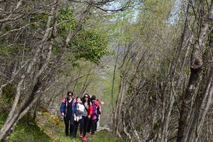 Cetinje: Ponovo otvorena pješačka staza na Đinovom brdu
