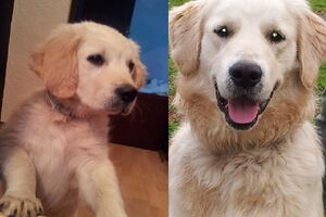 "Nekad i sad": Ljubimci čitalaca "Vijesti" [FOTO]