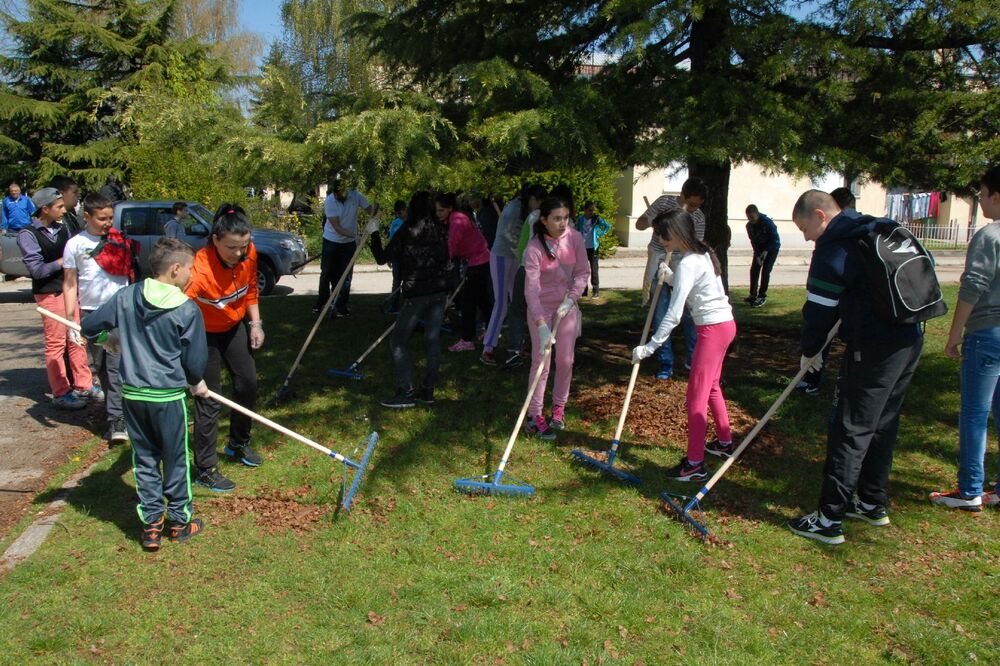 Mileva Lalović lalatović, sadnice, Foto: Svetlana Mandić