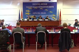 Delegacija Evropskog parlamenta posjetila Solanu u Ulcinju