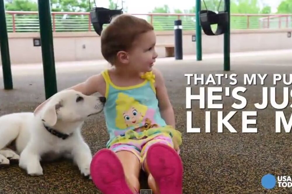 Dan i Safir, Foto: Screenshot (YouTube)