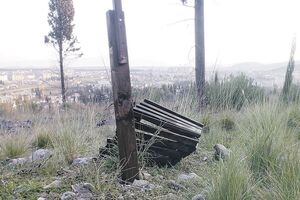 Veći problem od pasa su nesavjesni građani koji polomiše sve živo...