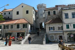 Hercegnovski SNP napustilo 13 članova