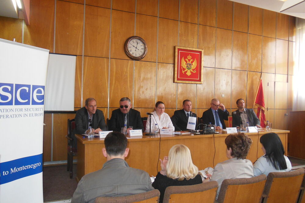 OEBS, zaštita podataka, Foto: Svetlana Mandić
