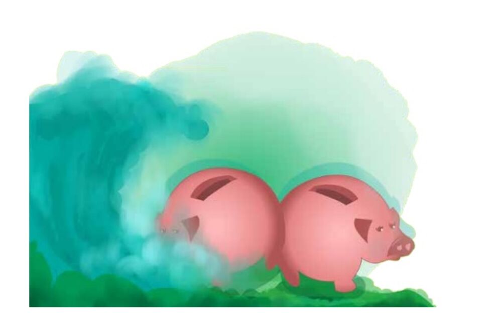 Finansijski nadzor, Foto: Dragana Koprivica