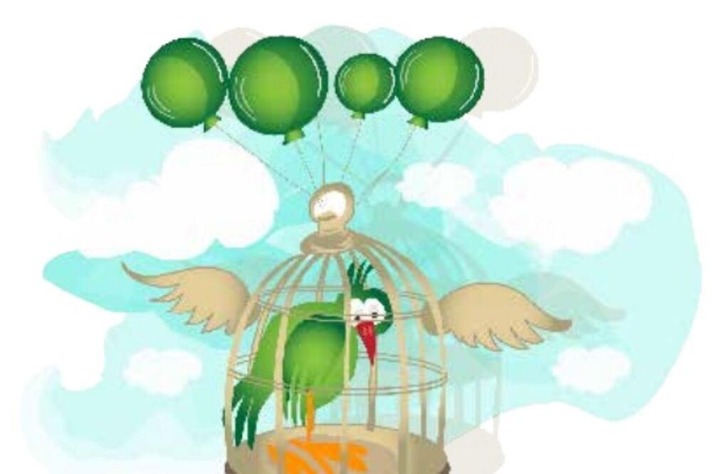 Pravda, sloboda i bezbjednost, Foto: Dragana Koprivica