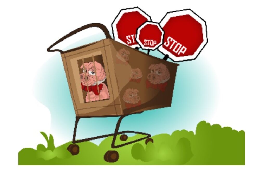 Zaštita zdravlja i potrošača, Foto: Dragana Koprivica