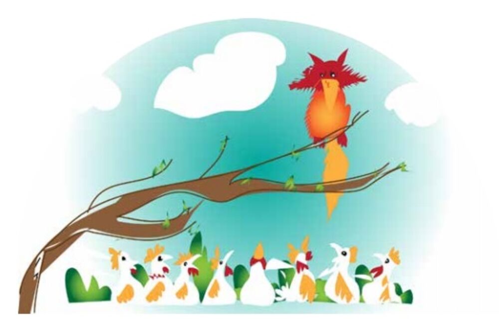 Vanjski odnosi, Foto: Dragana Koprivica