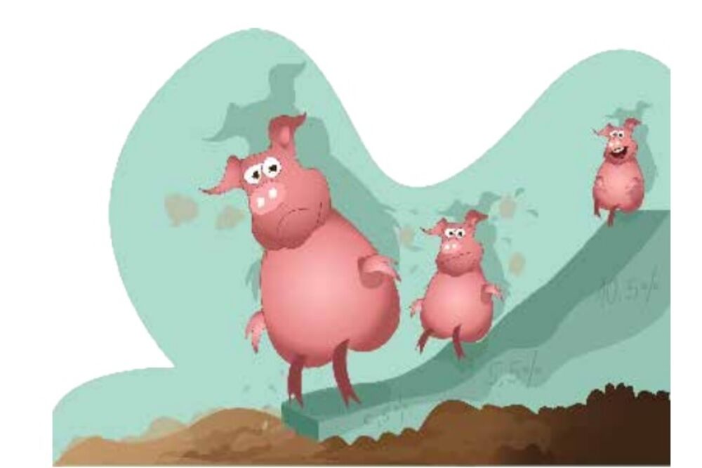 Statistika, Foto: Dragana Koprivica