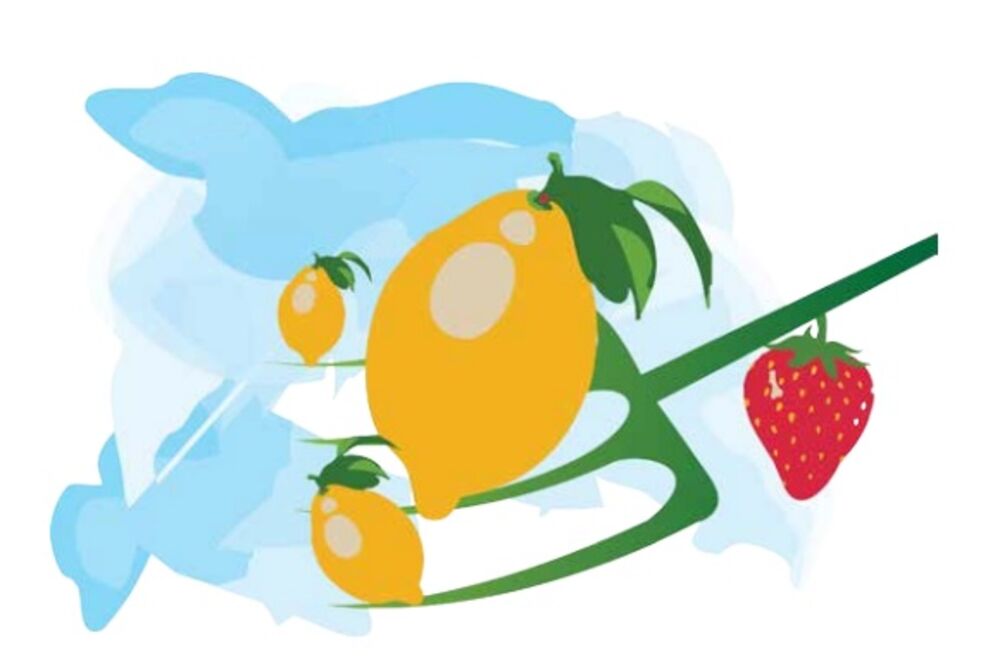 Poljoprivreda i ruralni razvoj, Foto: Dragana Koprivica