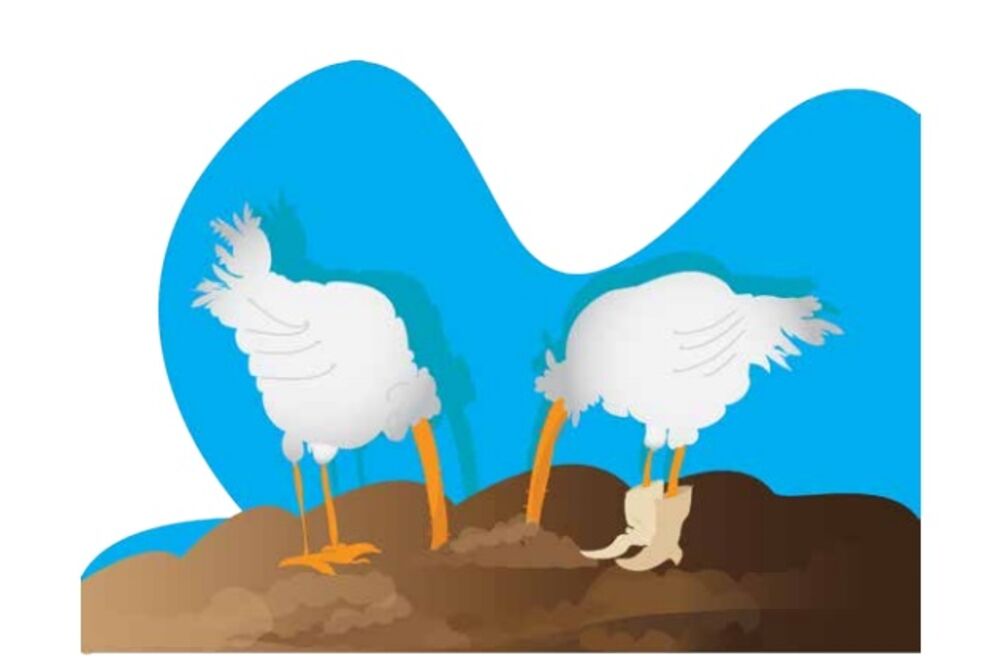 Trans-evropske mreže, Foto: Dragana Koprivica