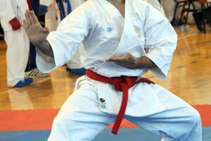 Prvak Mijat Vojvodić, četiri bronze za Omladinac