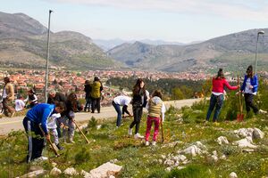 Podgorica: Goricu pošumili sa 2.000 sadnica
