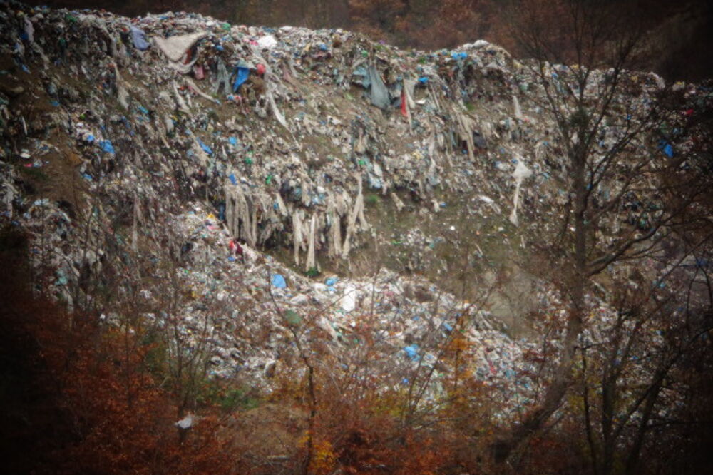 Beranselo Dan ekoloških pokreta, Foto: Tufik Softić