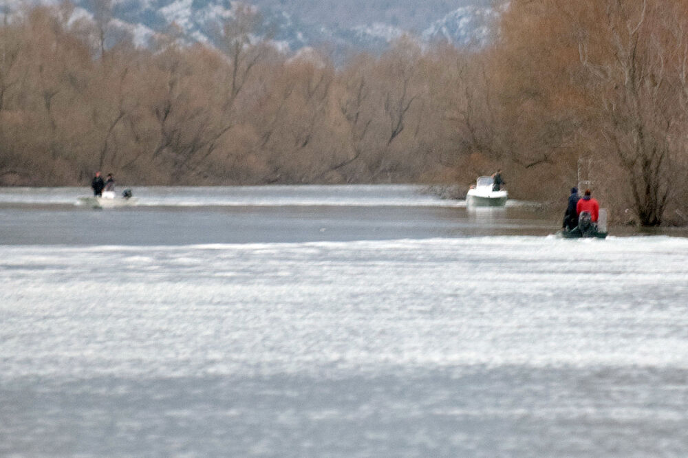 Ilustracija, Foto: Zoran Đurić