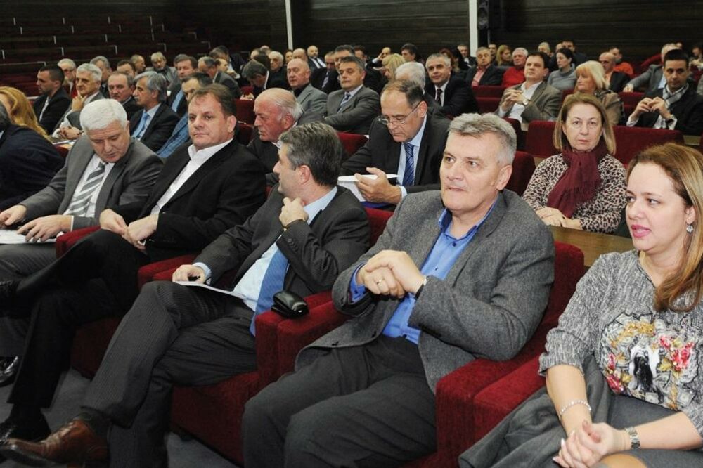 GO DPS Podgorica, Foto: Savo Prelević