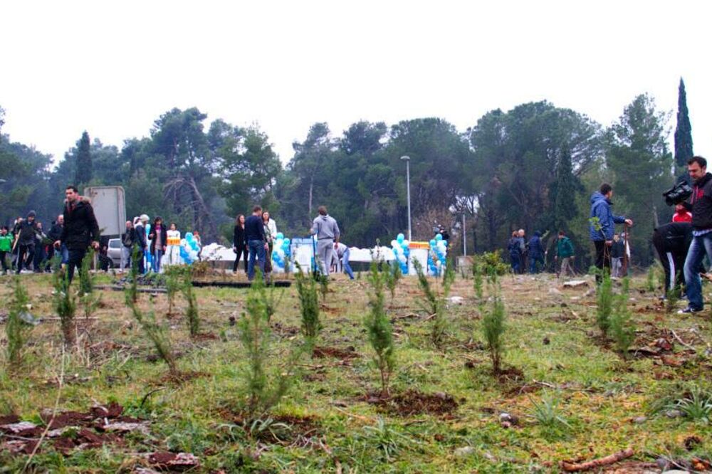 Pošumljavanje Gorice, Foto: Naša Podgorica