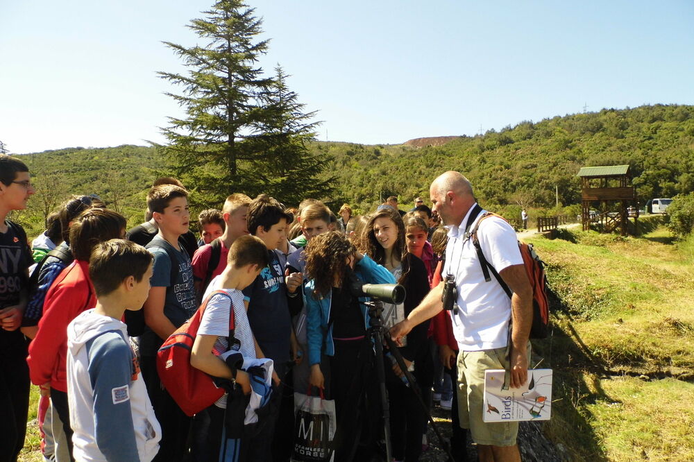 učenici, škola, Foto: Siniša Luković