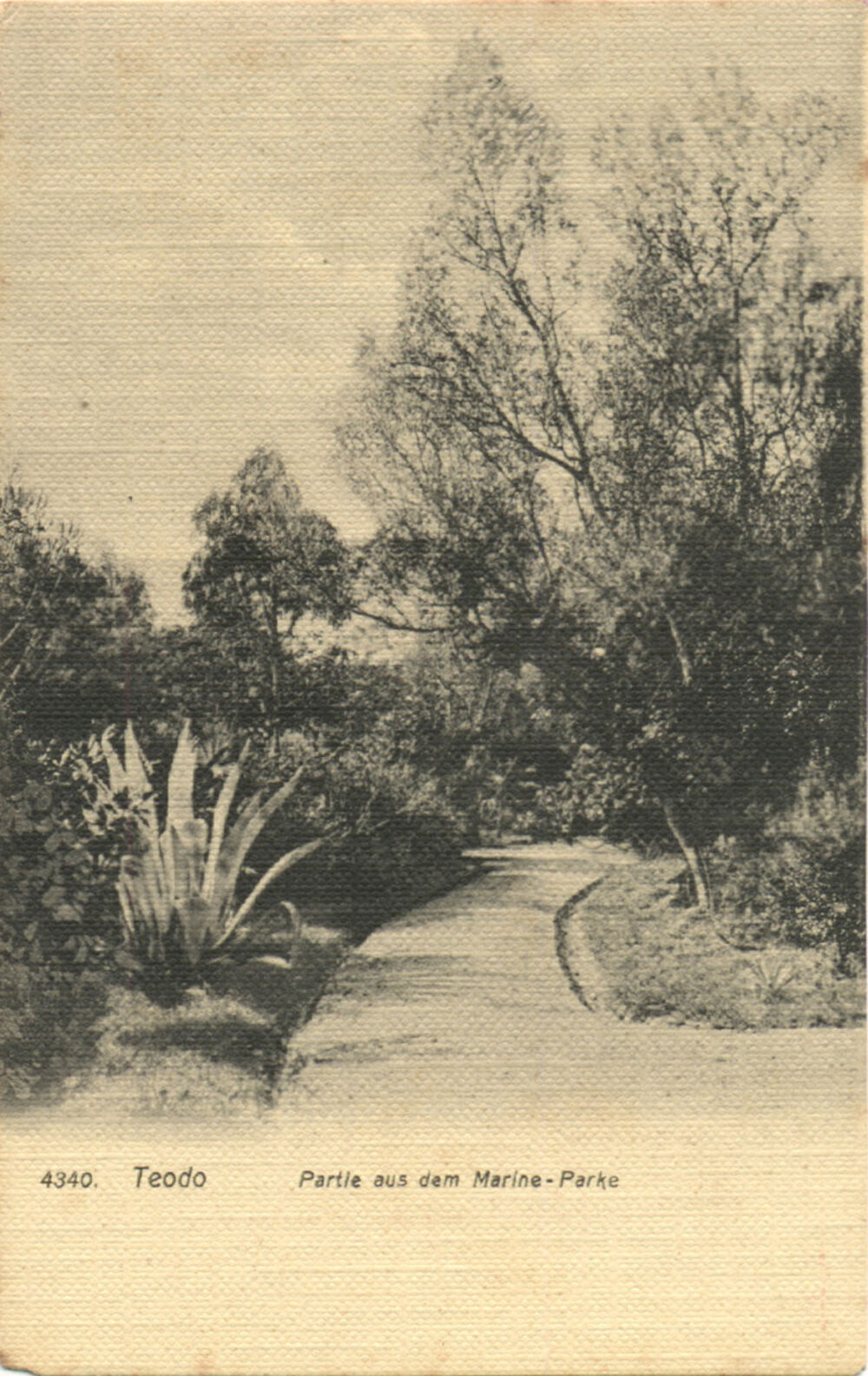 izložba, gradski park Tivat