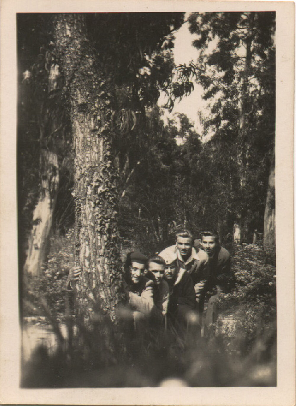 izložba, gradski park Tivat