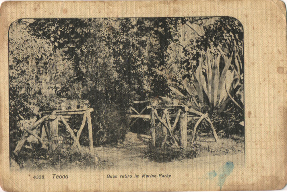 izložba, gradski park Tivat