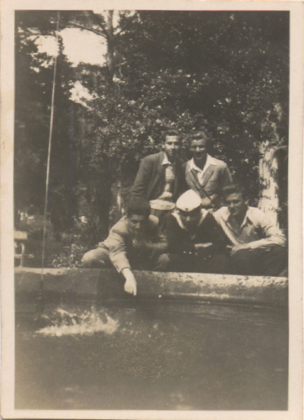 izložba, gradski park Tivat