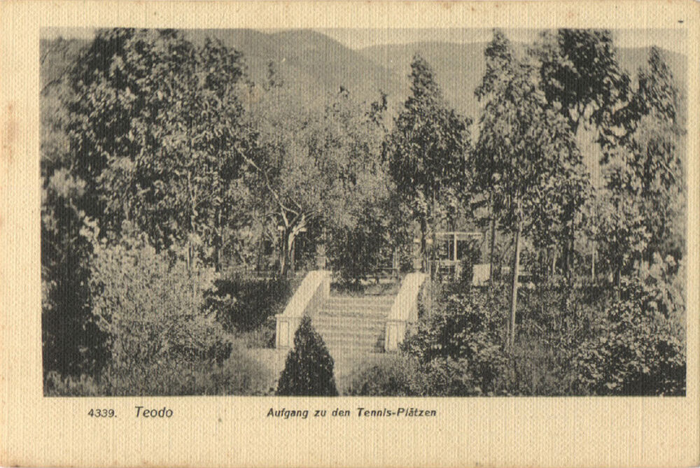 izložba, gradski park Tivat