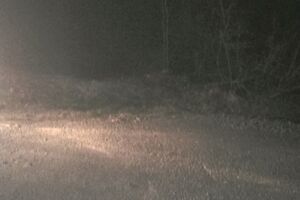 Poginule dvije osobe kod Kolašina