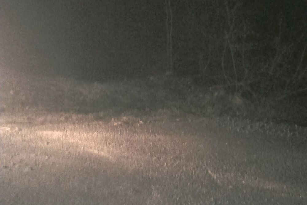 Međurječje, Foto: Dragana Šćepanović