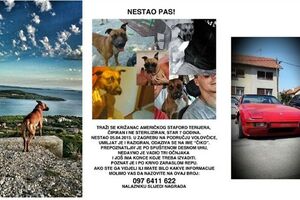 Hrvatska: Porodica odbila Porše kao nagradu za pronađenog psa