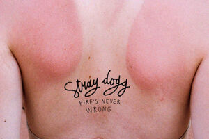 Stray Dogg u Podgorici 24. i 25. aprila: Jedva čekamo!