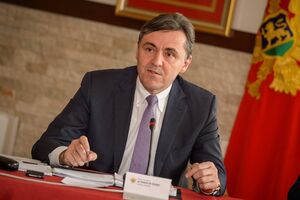 Žugić: Fokus na privlačenju američkih investitora