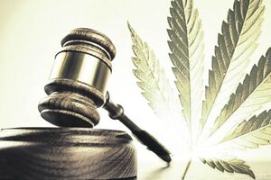 Paljušević pravosnažno osuđen za šverc marihuane