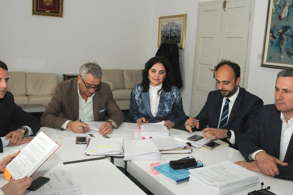 Opštinski odbor, Foto: Luka Zeković