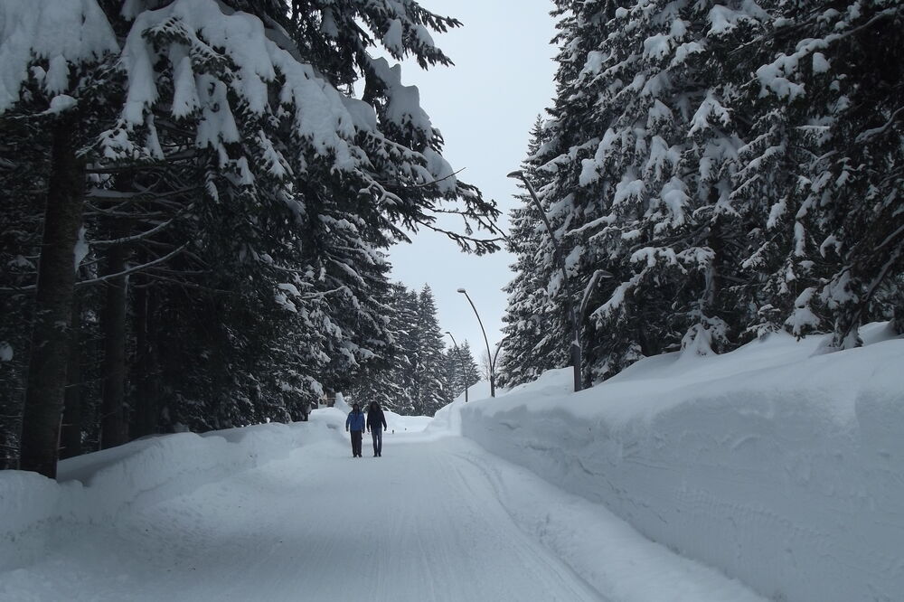Žabljak, Foto: Obrad Pješivac