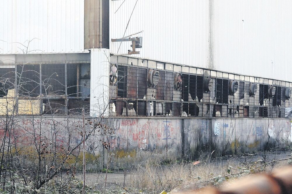 Radoje Dakić, Foto: Luka Zeković