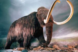 Uspjela prva faza kloniranja mamuta