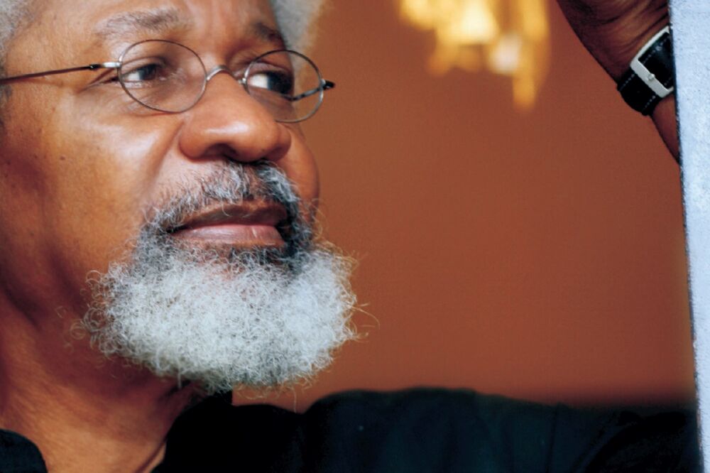 Vole Sojinka (novina)