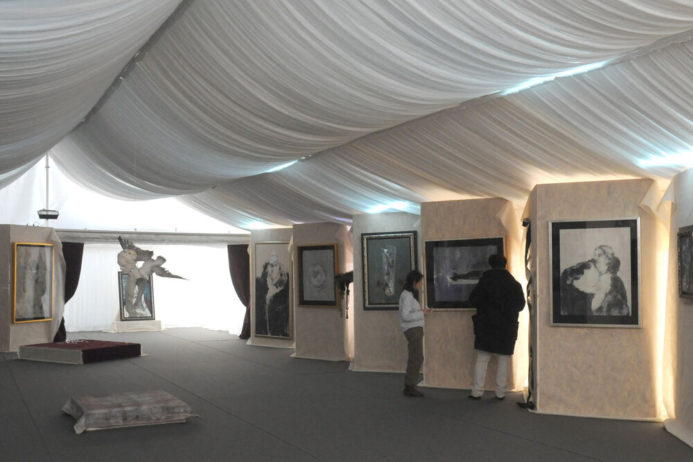 izložba, Srđan Vukčević, Foto: Vijesti