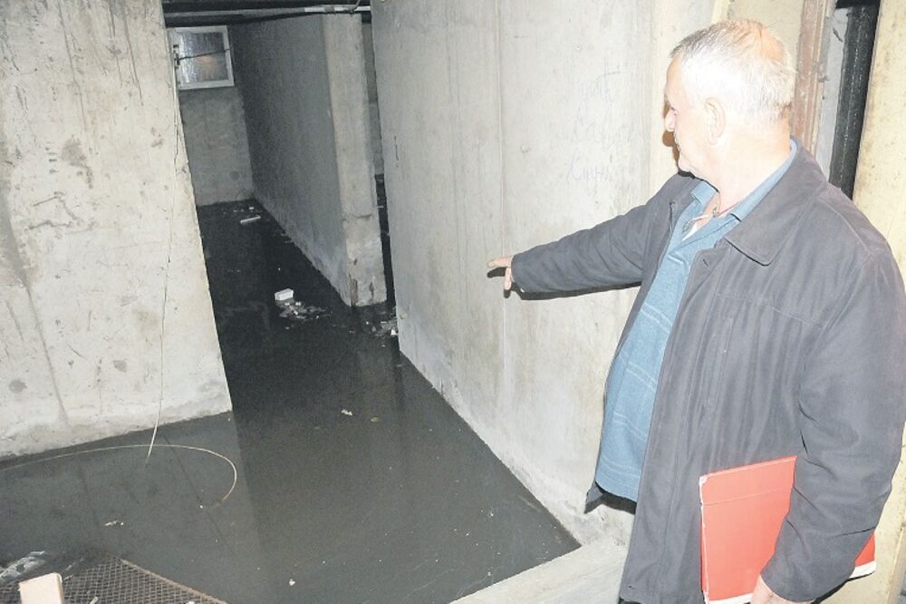 Dragan Ulićević, podrum, Foto: Vesko Belojević